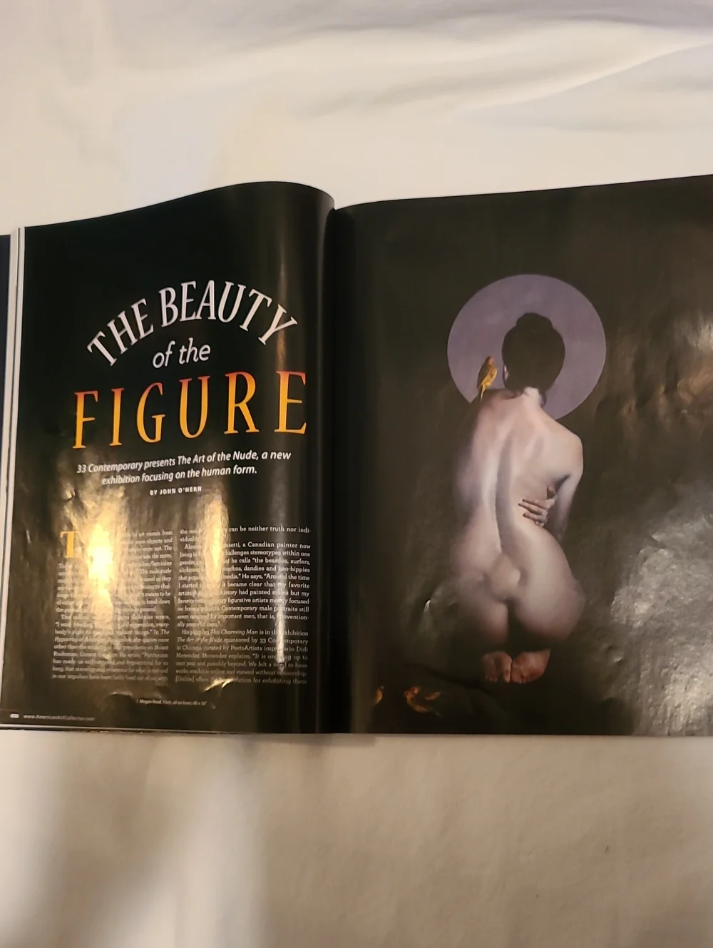 American Art Collector Magazine 2 Issues, Decoration Oct Nov 2019